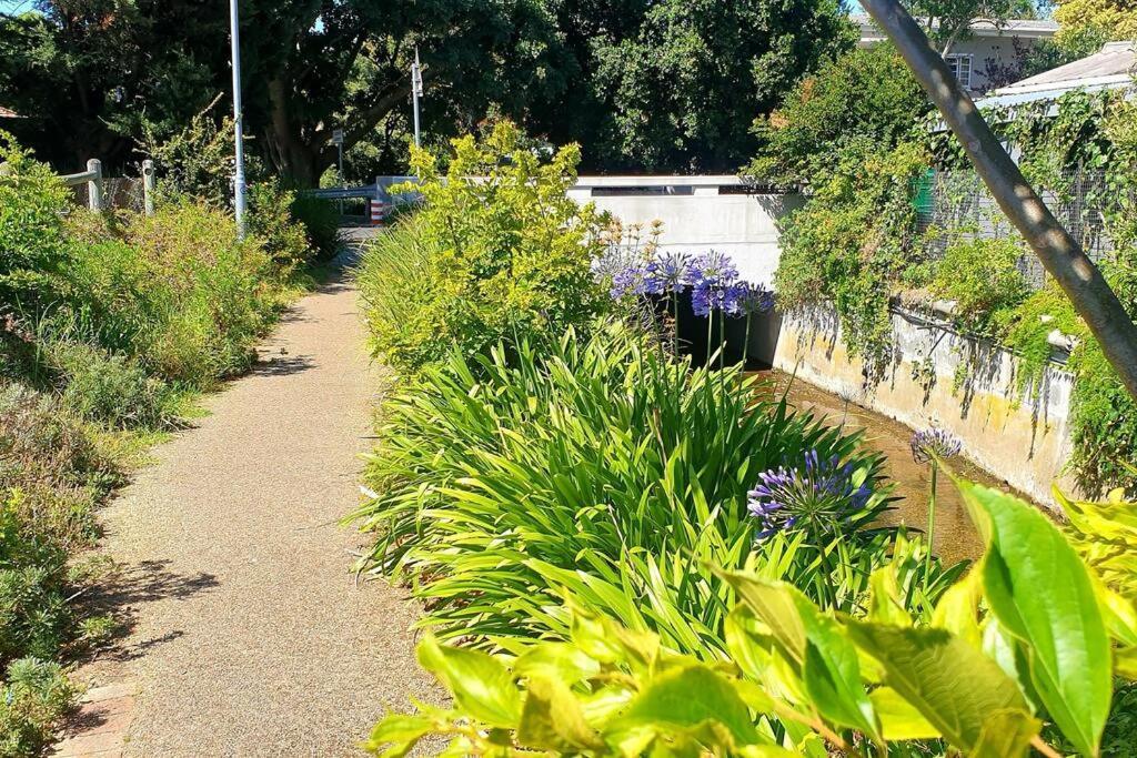 The Rondebosch Easy Living Apartment Cape Town